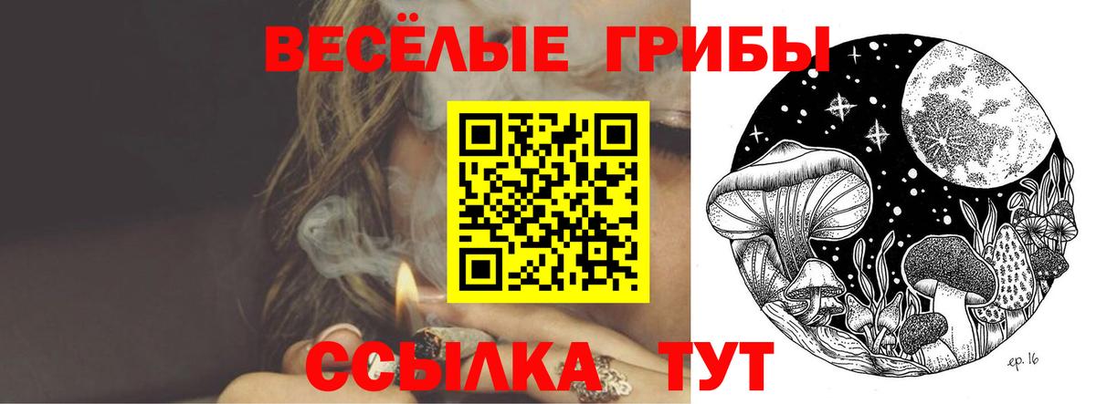 Галлюциногенные грибы мухоморы Новороссийск